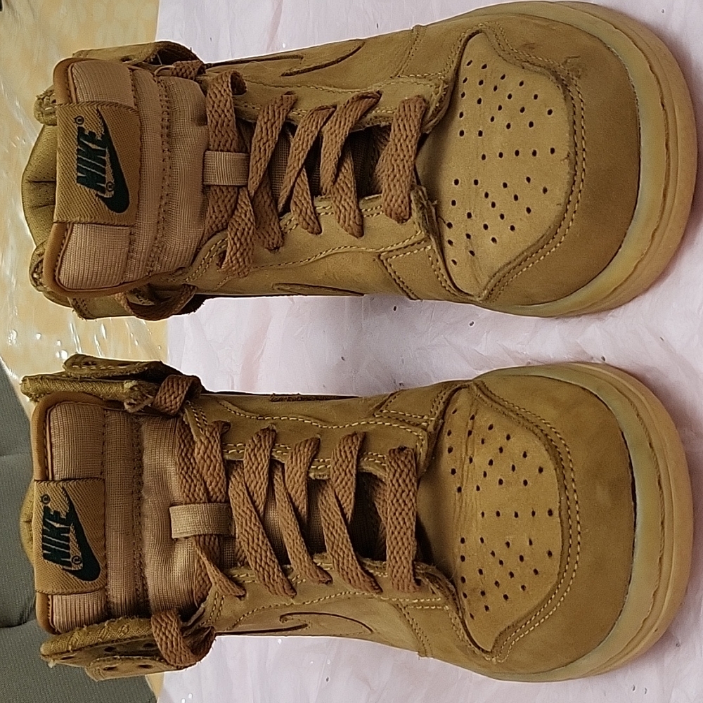 Nike Dunk HighTop
